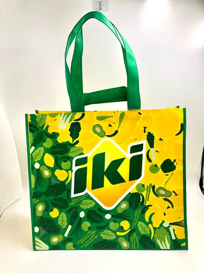 Double Handle Laminated PP Non Woven Shopping Bag for Supermarket